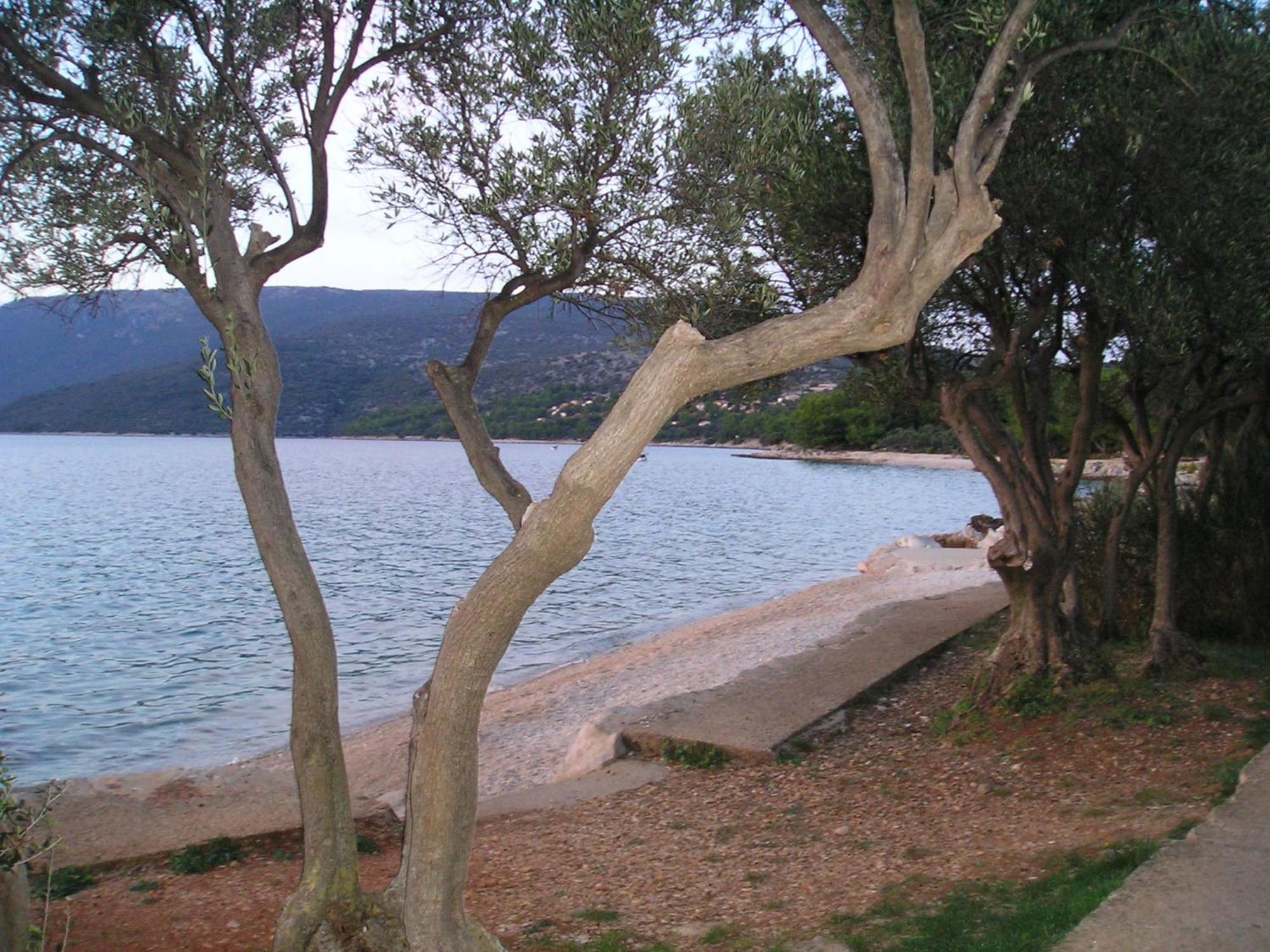 Apartmani Vitkovic II Cres Dış mekan fotoğraf