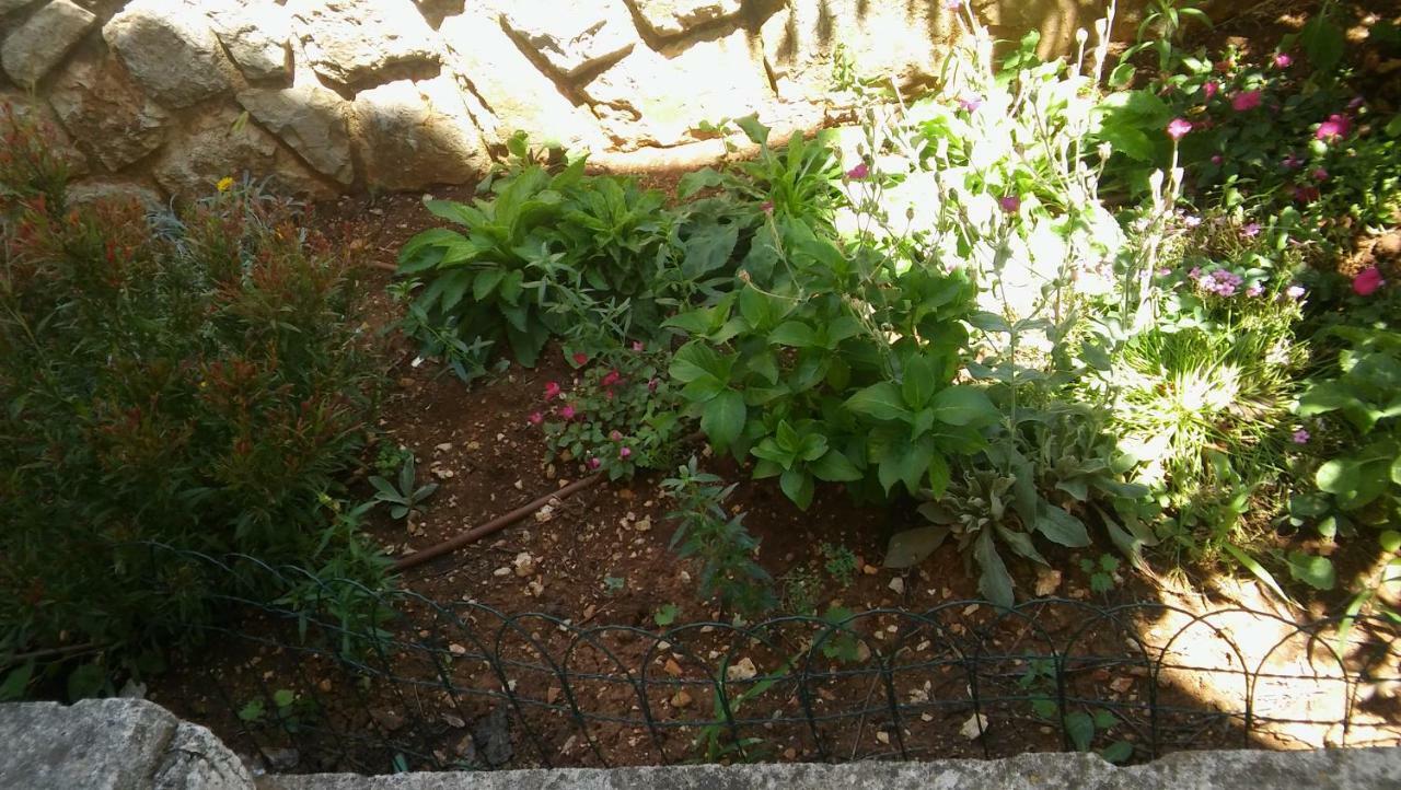 Apartmani Vitkovic II Cres Dış mekan fotoğraf