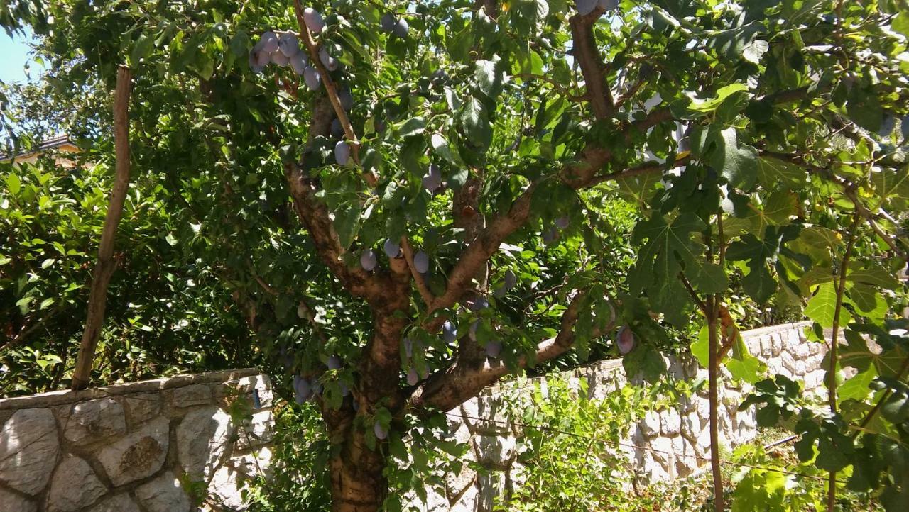 Apartmani Vitkovic II Cres Dış mekan fotoğraf